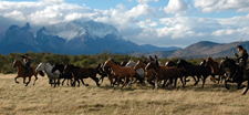 Chile-Patagonia / Torres del Paine-Torres del Paine - Estancias Horse Drive